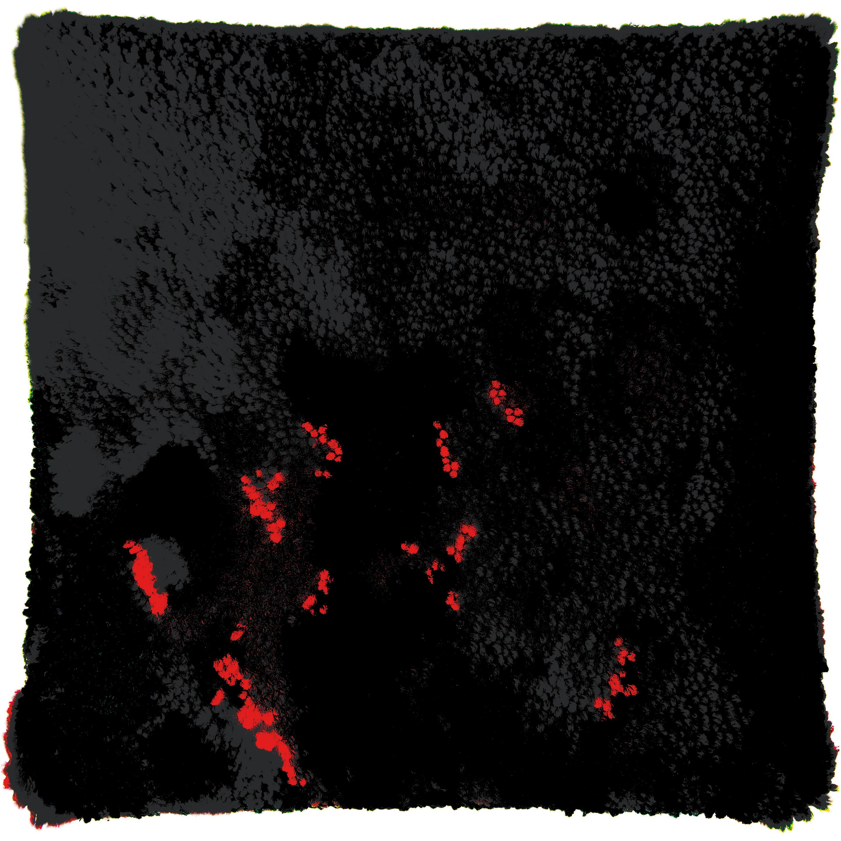 Beispielinhalt (Bild) Rico Hooki Hooki