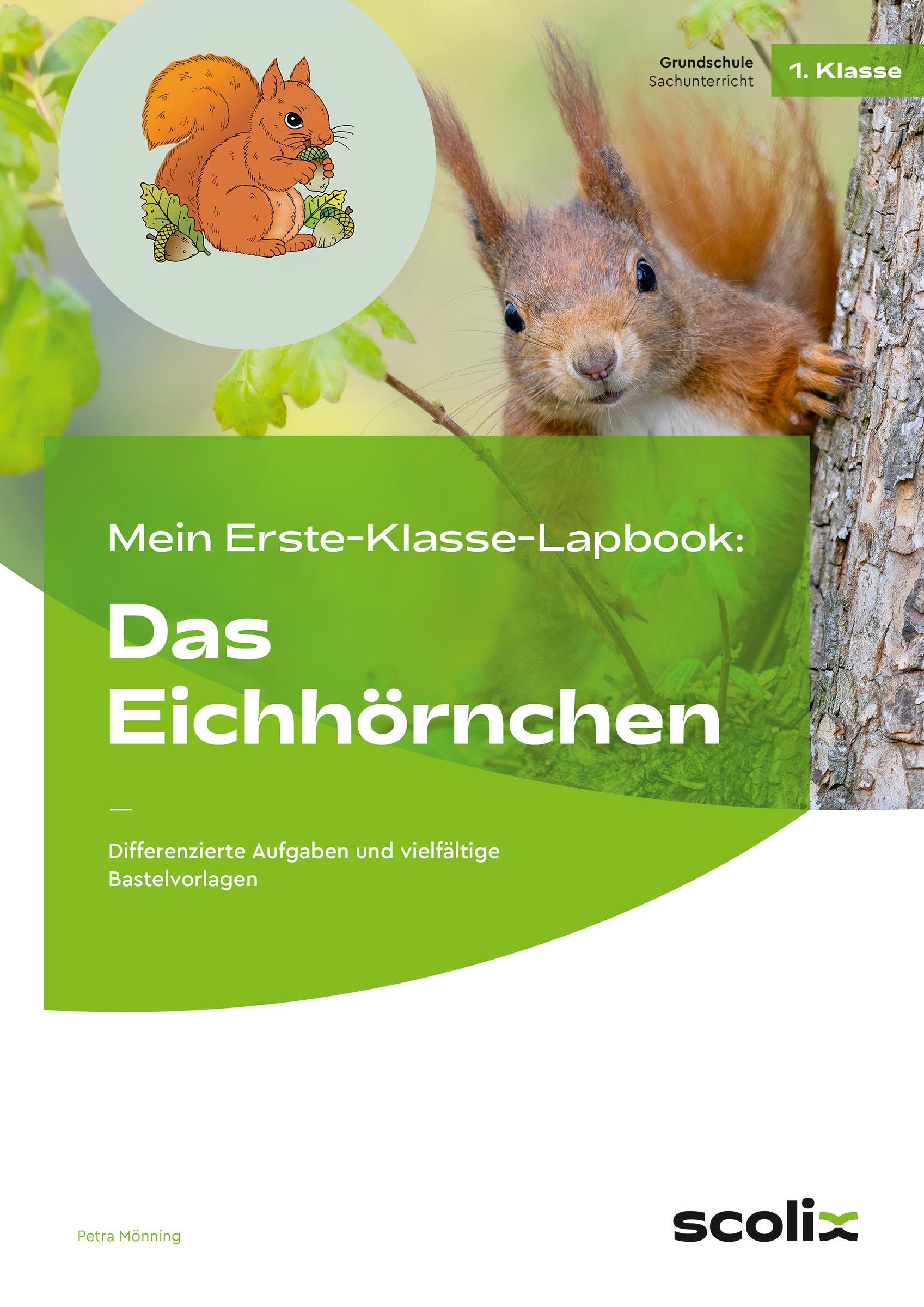 Vorderes Coverbild Mein Erste-Klasse-Lapbook: Das Eichhörnchen
