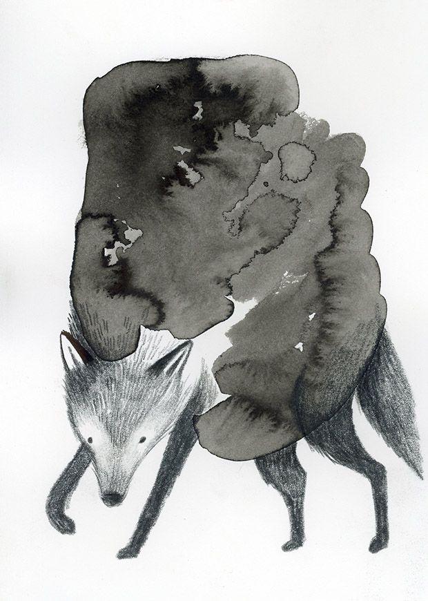 Beispielinhalt (Bild) Problemwölfe