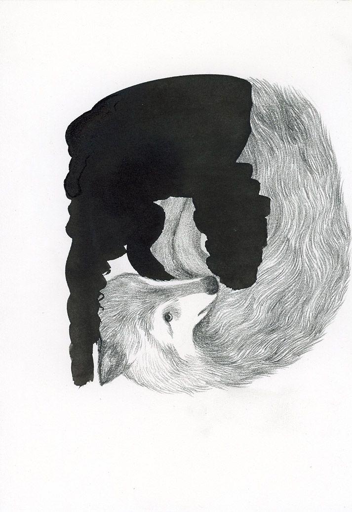 Beispielinhalt (Bild) Problemwölfe