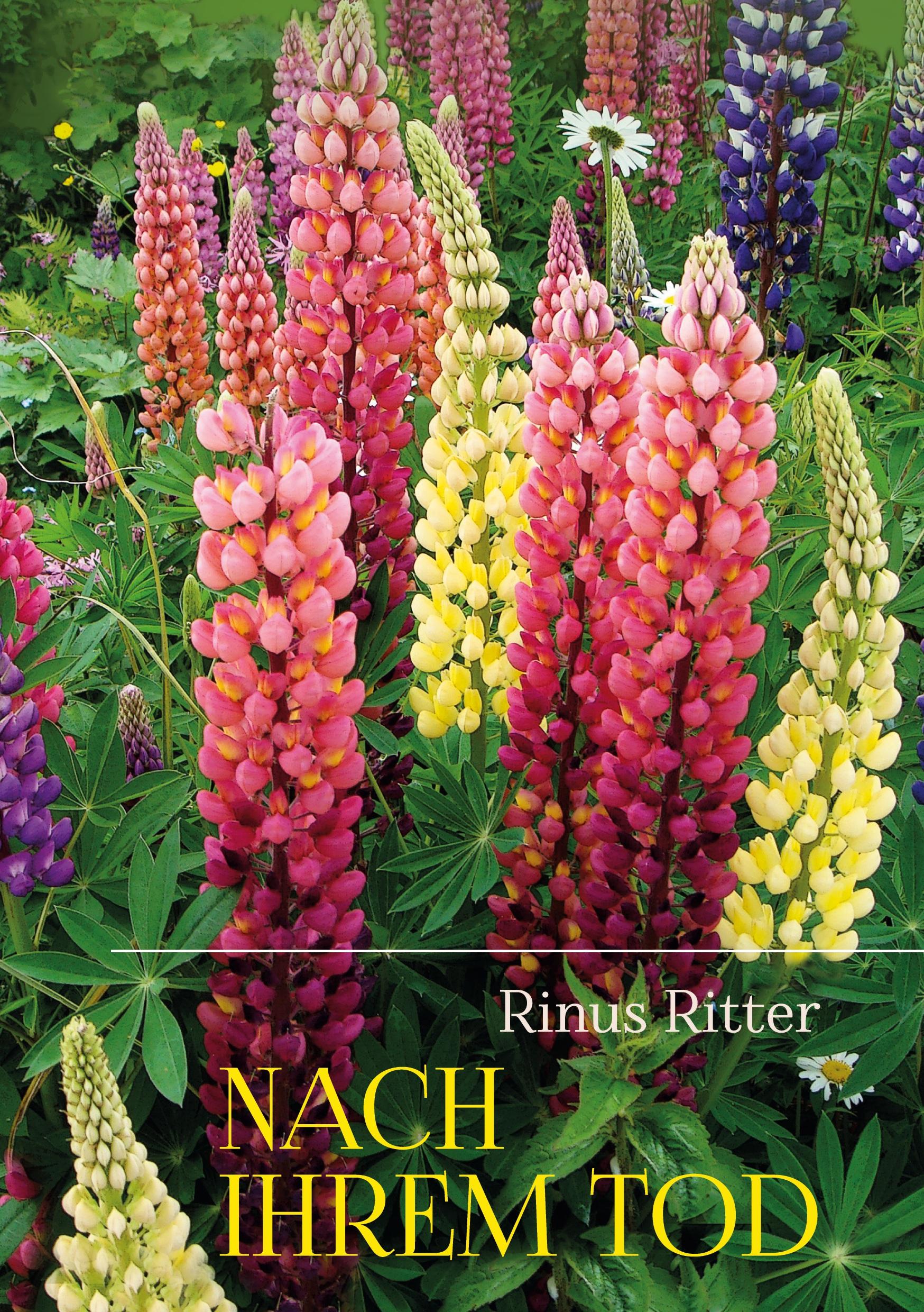 Vorderes Coverbild Nach ihrem Tod