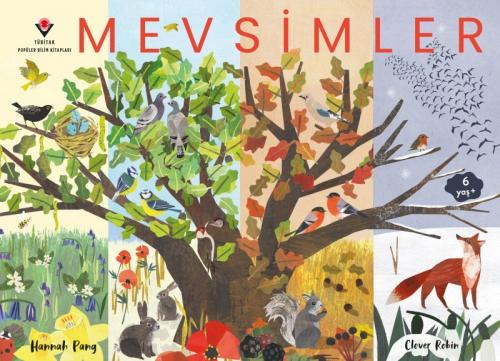 Vorderes Coverbild Mevsimler