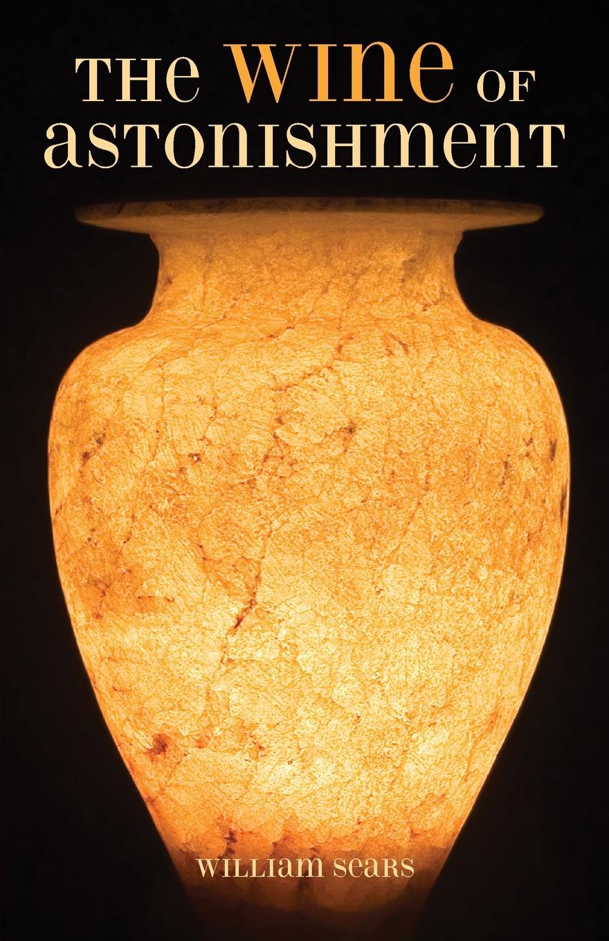 Vorderes Coverbild The Wine of Astonishment