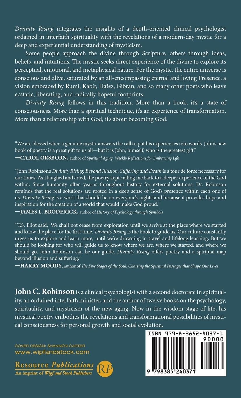 Rückseitencover Divinity Rising