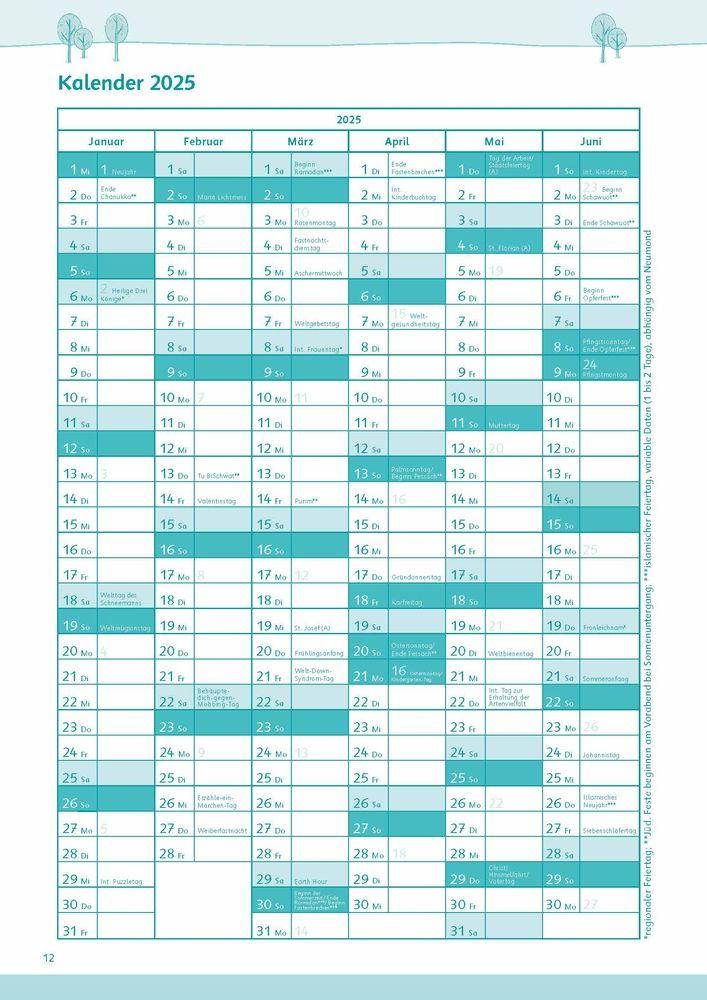 Beispielinhalt (Bild) 1-2-3-Alle da? Der kompakte Planer für Tagesmütter und -väter