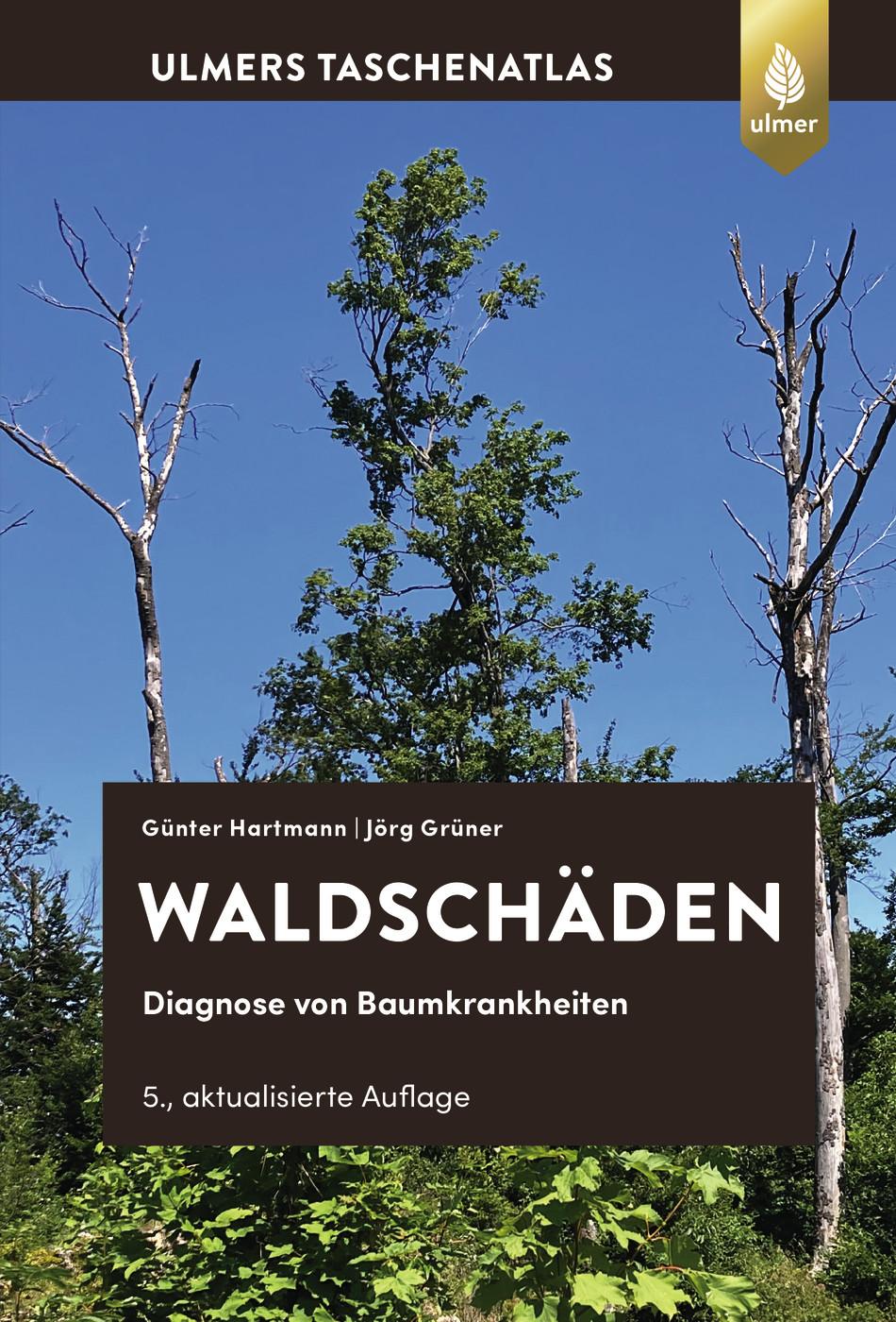 Vorderes Coverbild Waldschäden