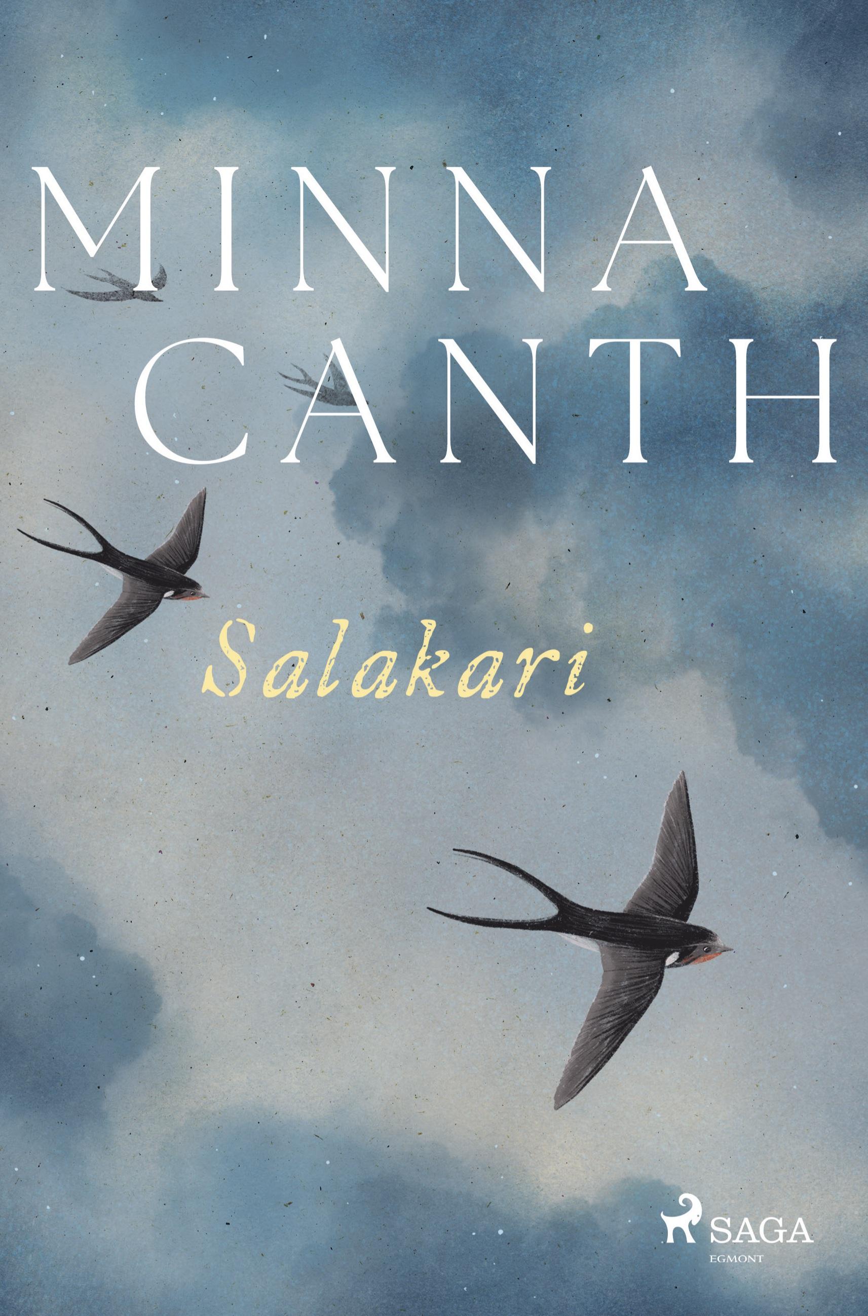 Vorderes Coverbild Salakari