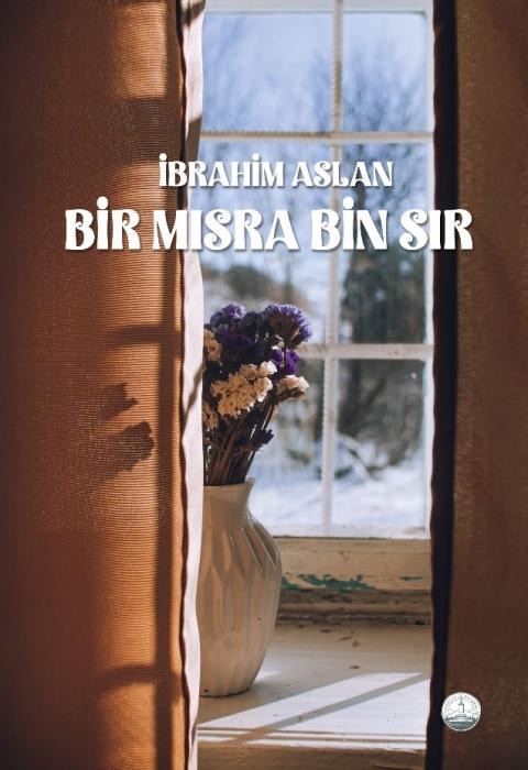 Vorderes Coverbild Bir Misra Bin Sir