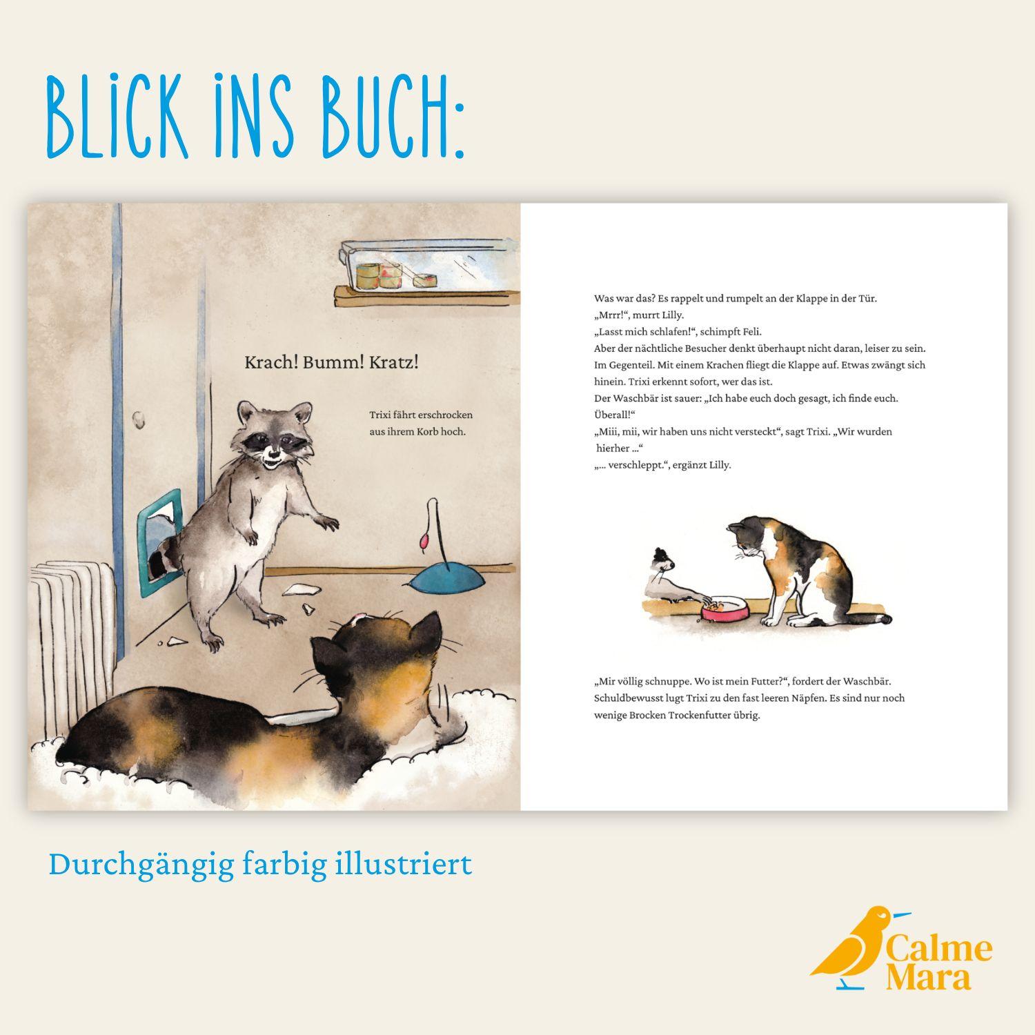 Beispielinhalt (Bild) Trixi, Lilly und der Waschbär