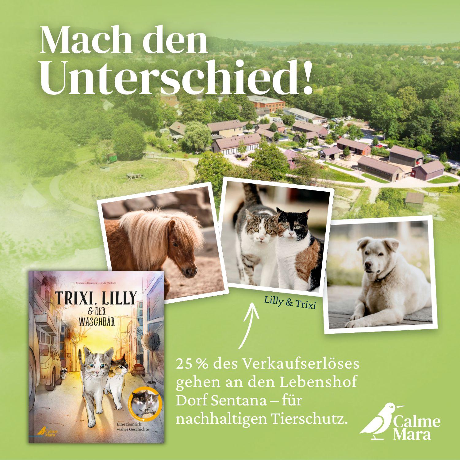 Beispielinhalt (Bild) Trixi, Lilly und der Waschbär