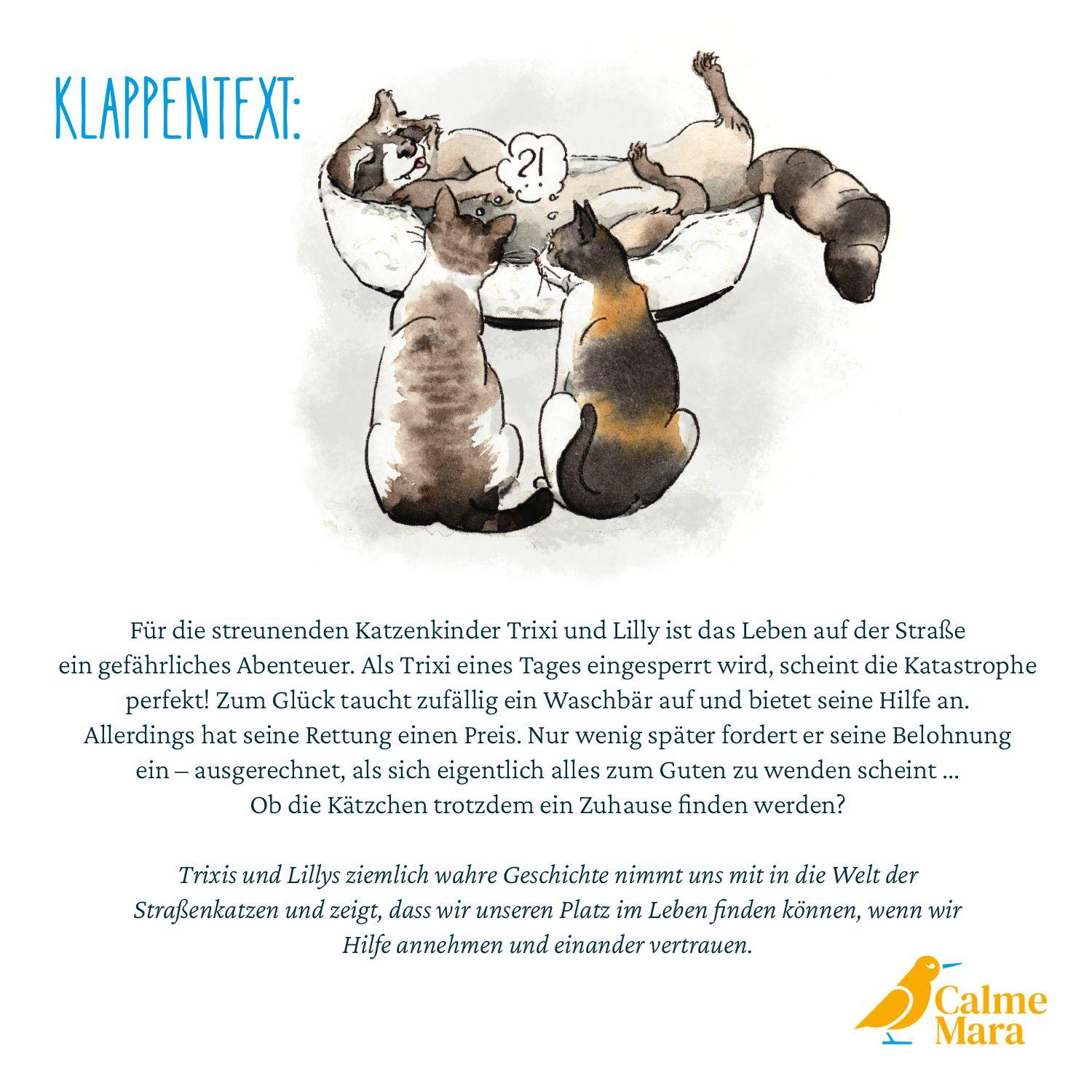 Beispielinhalt (Bild) Trixi, Lilly und der Waschbär