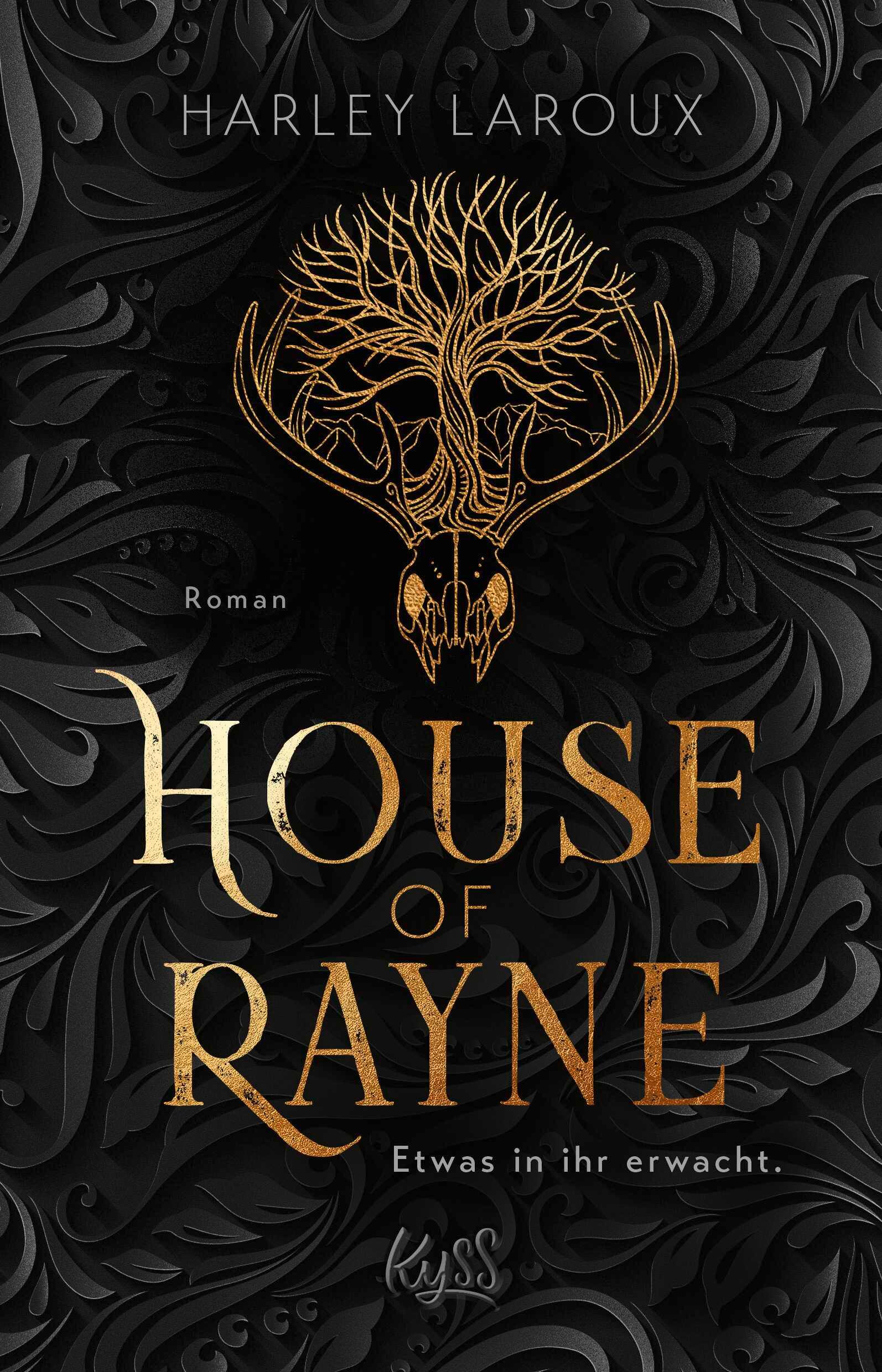 Vorderes Coverbild House of Rayne