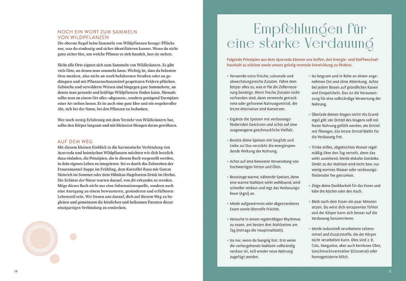 Beispielinhalt (Bild) Ayurveda mit Wildkräutern