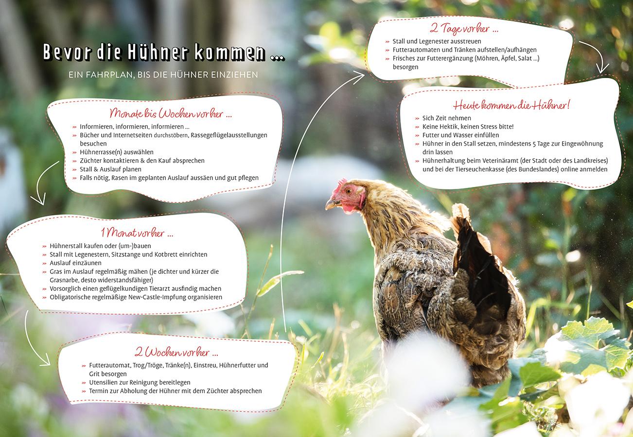 Beispielinhalt (Bild) Im Garten gackert's