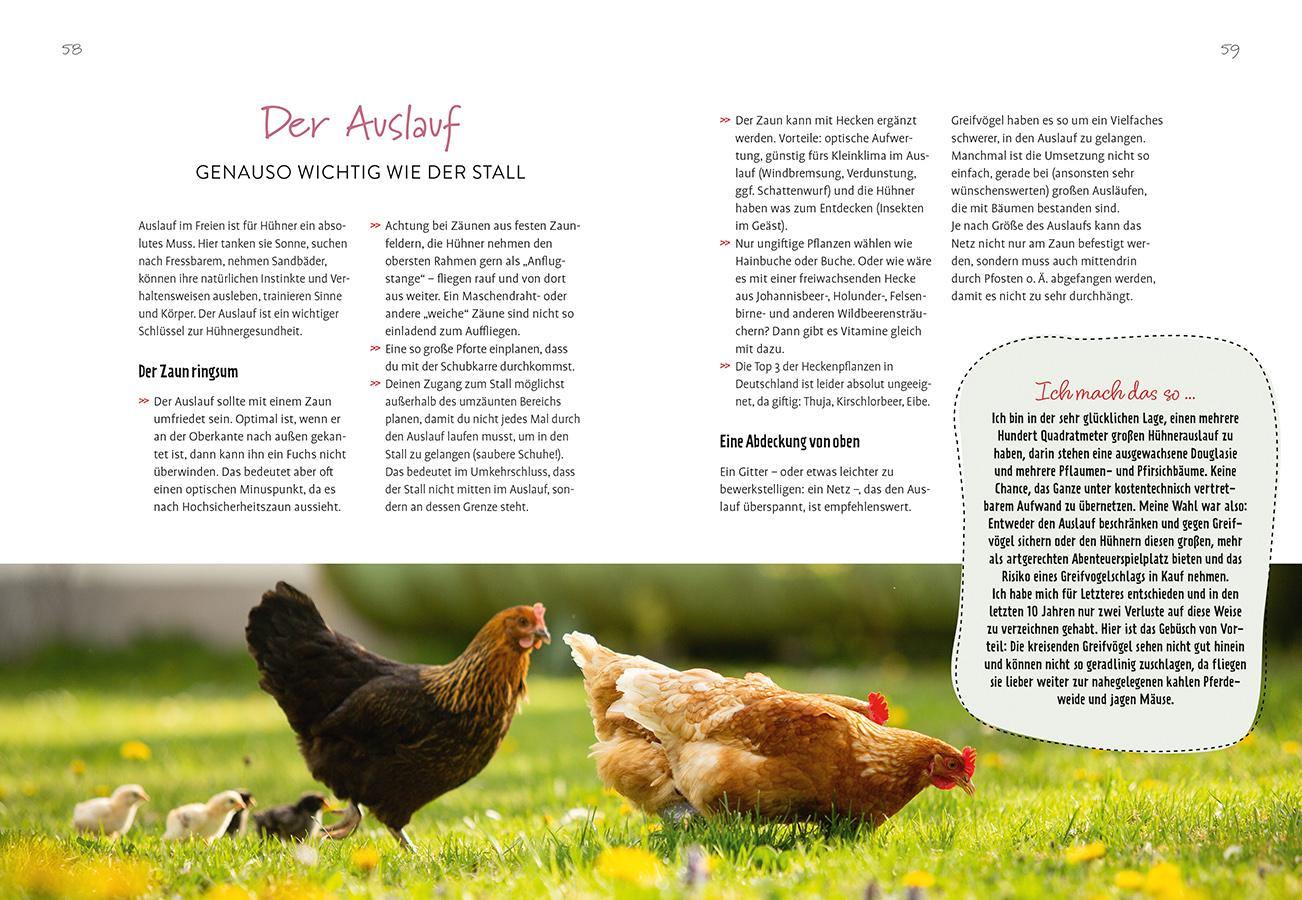 Beispielinhalt (Bild) Im Garten gackert's