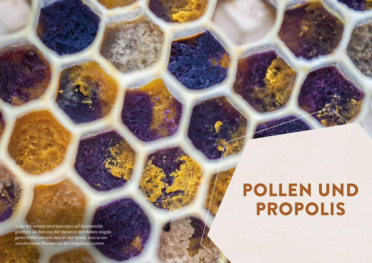 Beispielinhalt (Bild) Biologisch imkern - Die rechtlichen Basics