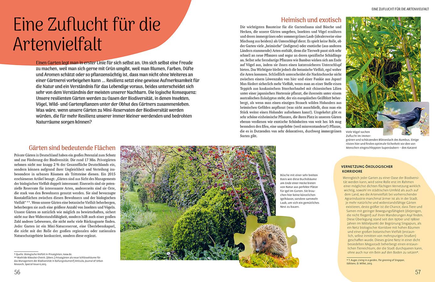 Beispielinhalt (Bild) Mähen oder mulchen? So funktioniert der Garten im Klimawandel