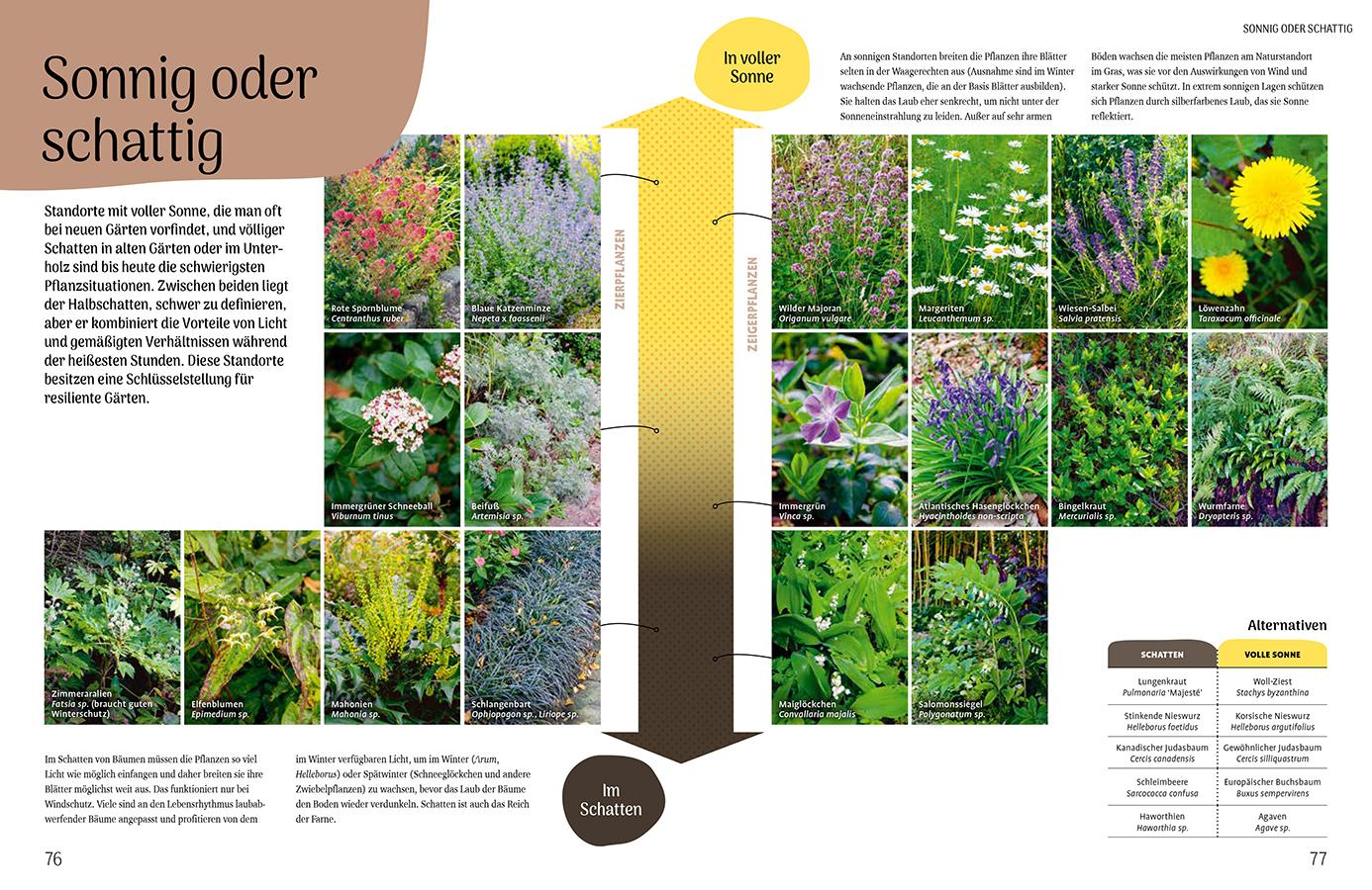 Beispielinhalt (Bild) Mähen oder mulchen? So funktioniert der Garten im Klimawandel