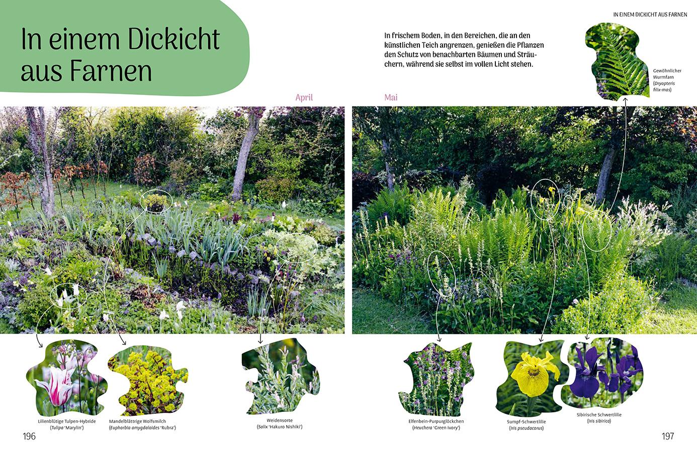 Beispielinhalt (Bild) Mähen oder mulchen? So funktioniert der Garten im Klimawandel