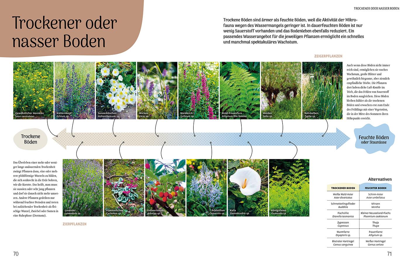 Beispielinhalt (Bild) Mähen oder mulchen? So funktioniert der Garten im Klimawandel