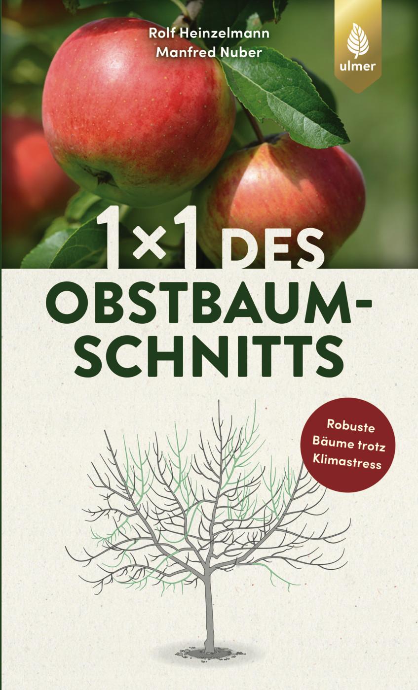 Vorderes Coverbild 1 x 1 des Obstbaumschnitts