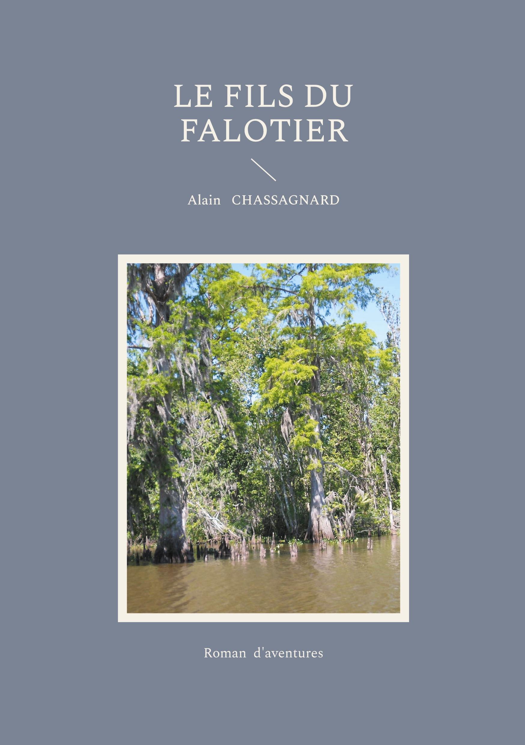 Vorderes Coverbild Le fils du falotier