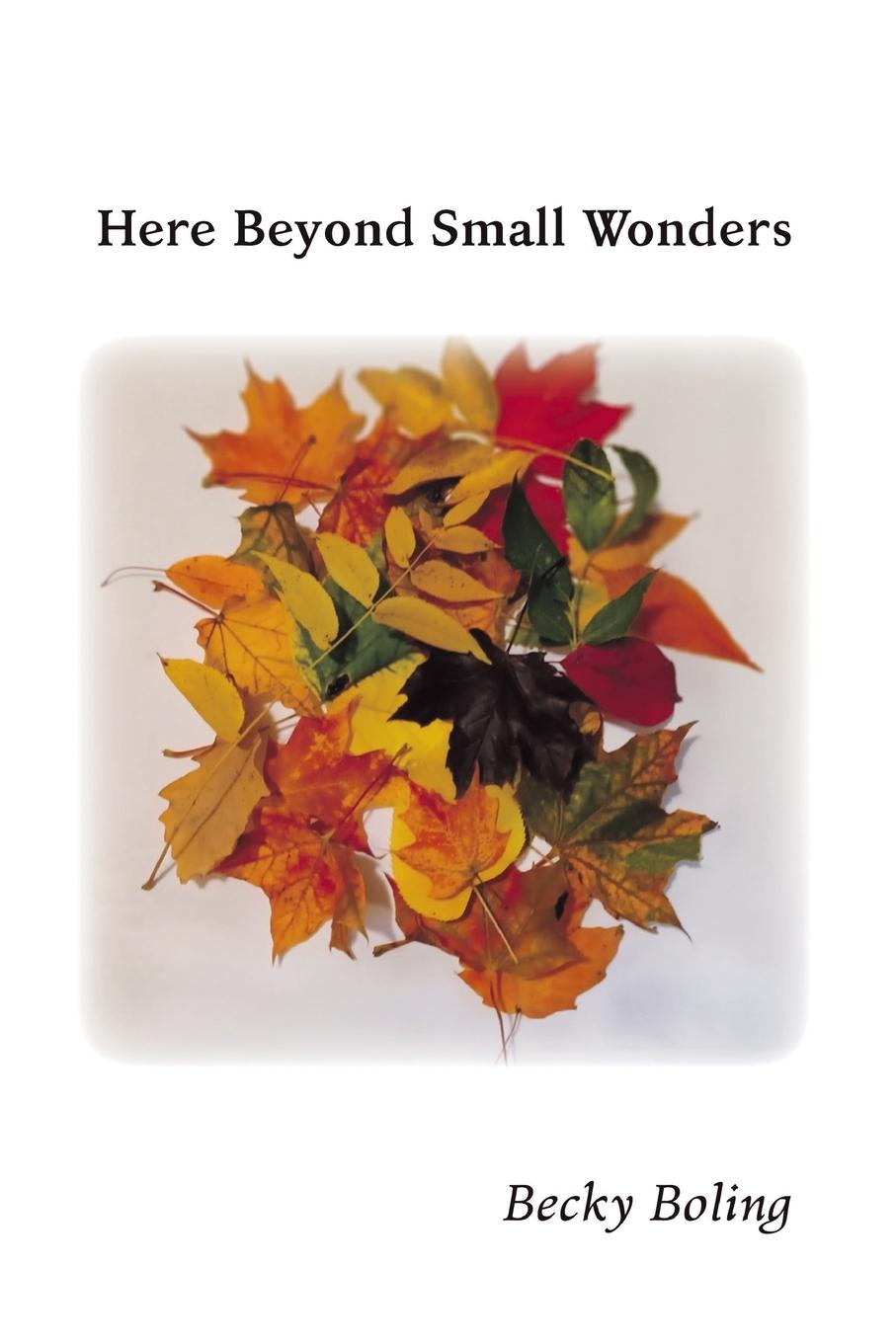 Vorderes Coverbild Here Beyond Small Wonders