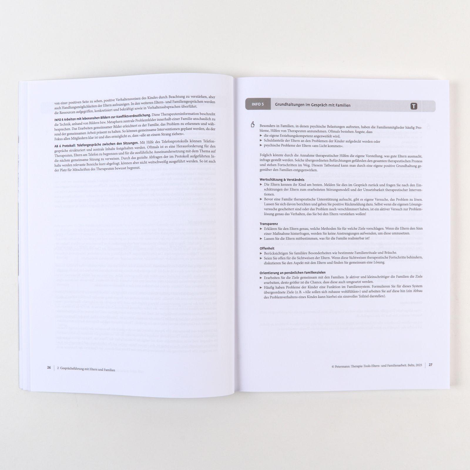 Beispielinhalt (Bild) Therapie-Tools Eltern- und Familienarbeit