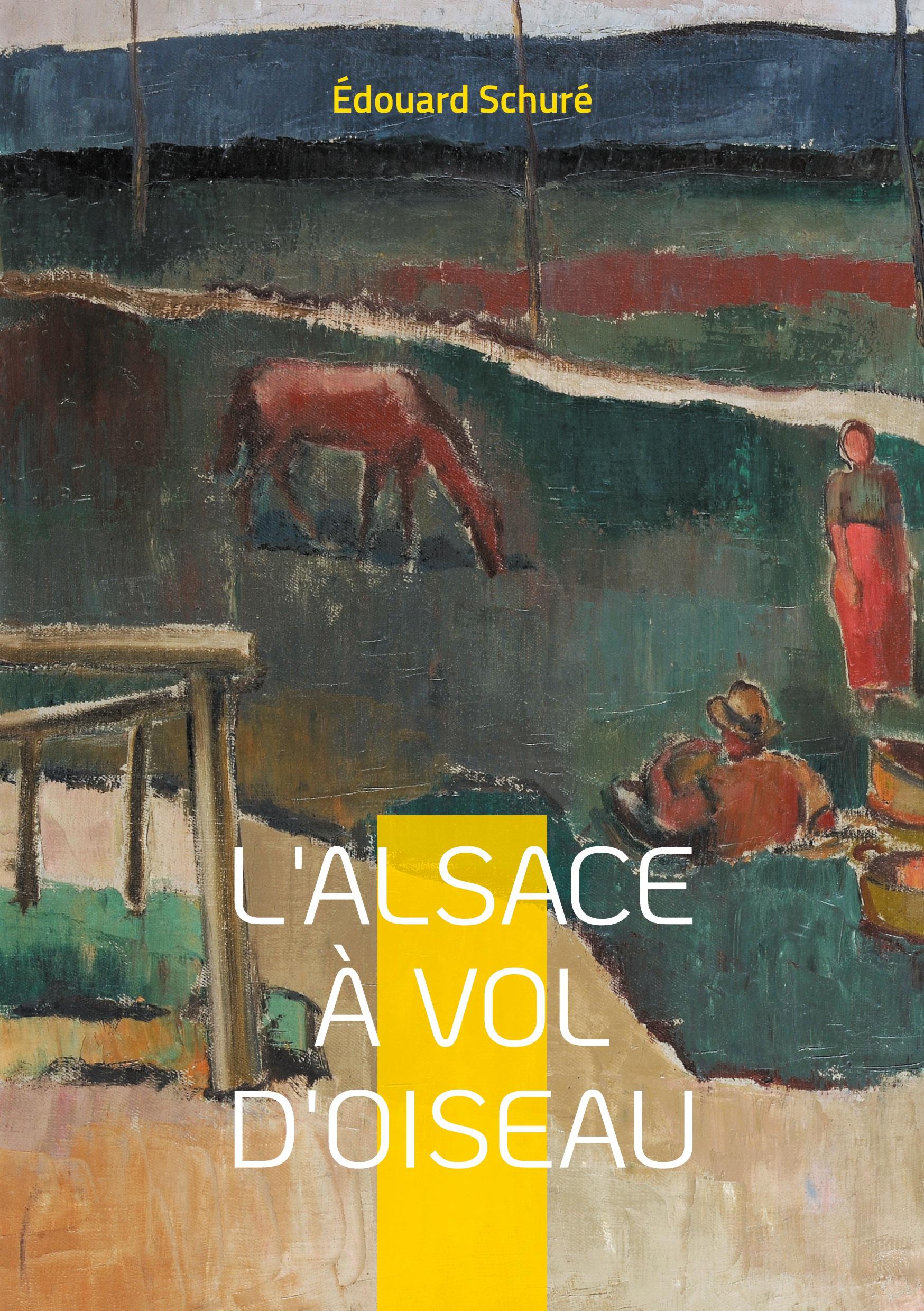 Vorderes Coverbild L'Alsace à vol d'oiseau