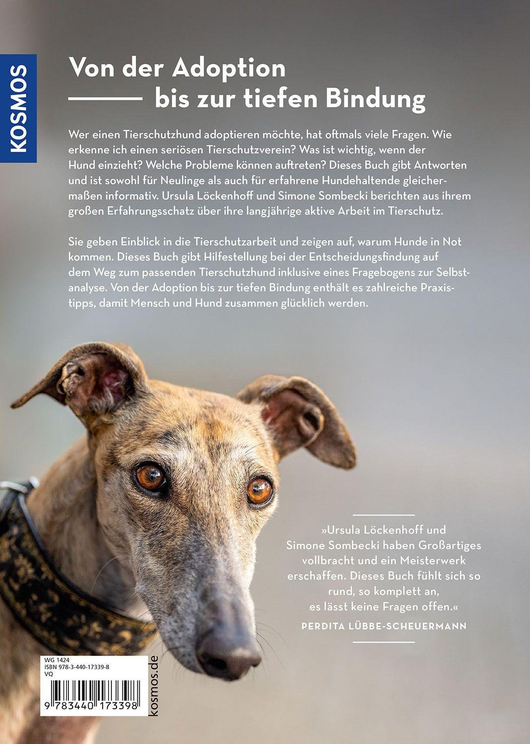 Beispielinhalt (Bild) Tierschutzhund Lieblingshund