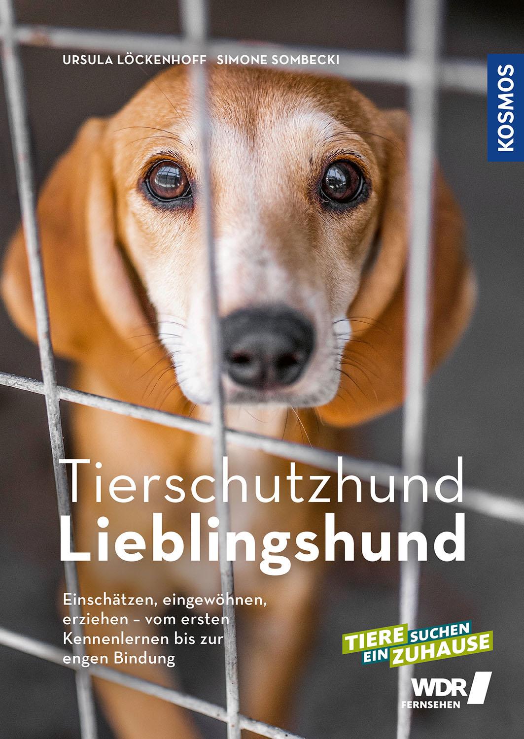 Vorderes Coverbild Tierschutzhund Lieblingshund