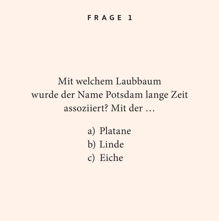 Beispielinhalt (Bild) Potsdam-Quiz