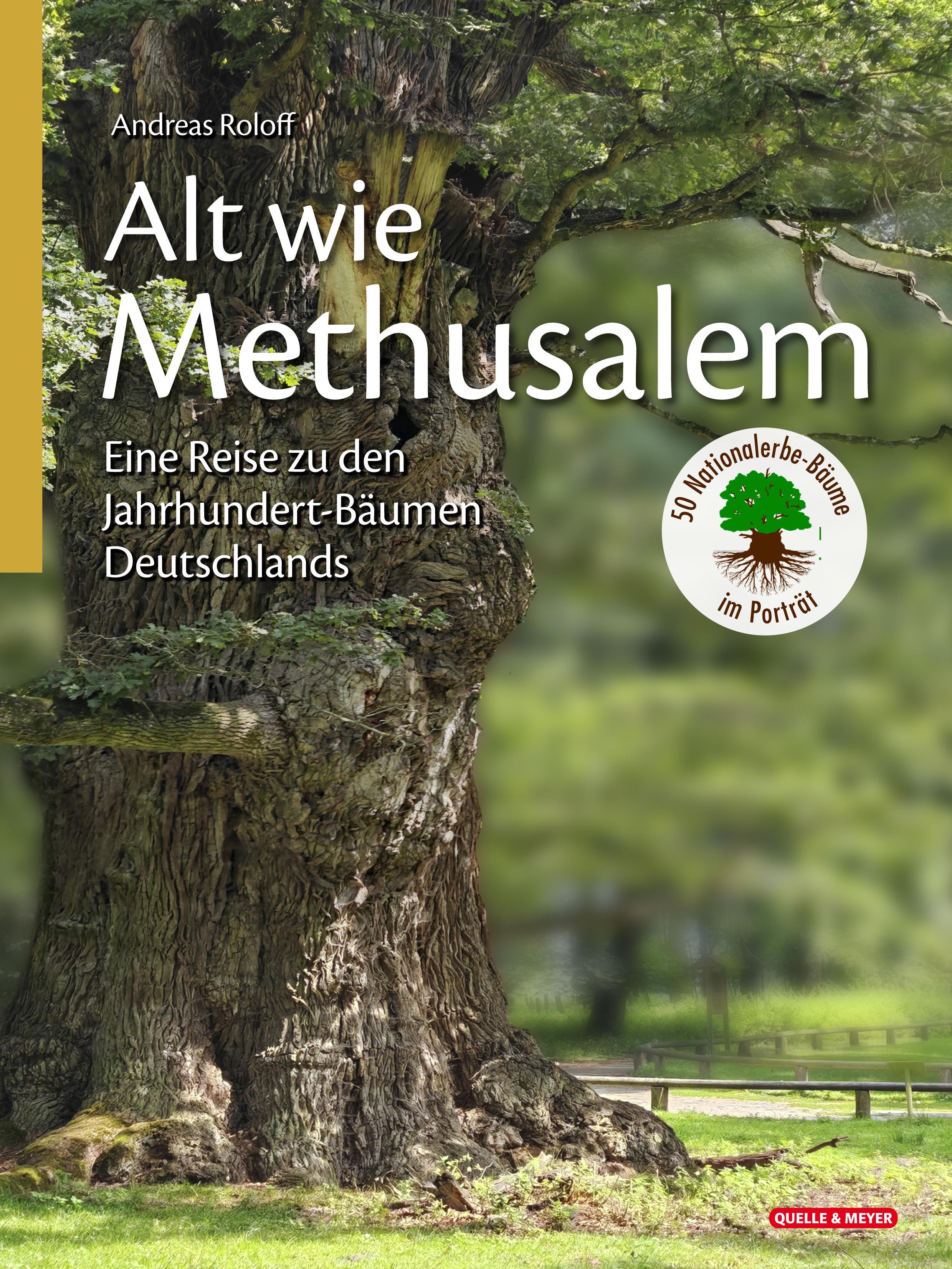Vorderes Coverbild Alt wie Methusalem - Eine Reise zu den Jahrhundert-Bäumen Deutschlands