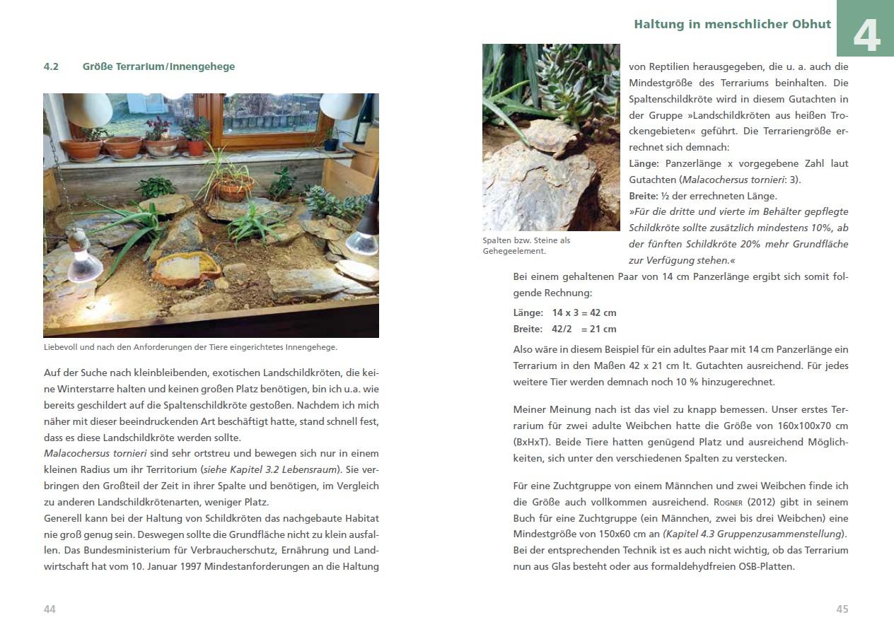 Beispielinhalt (Bild) Spaltenschildkröten Malacochersus tornieri
