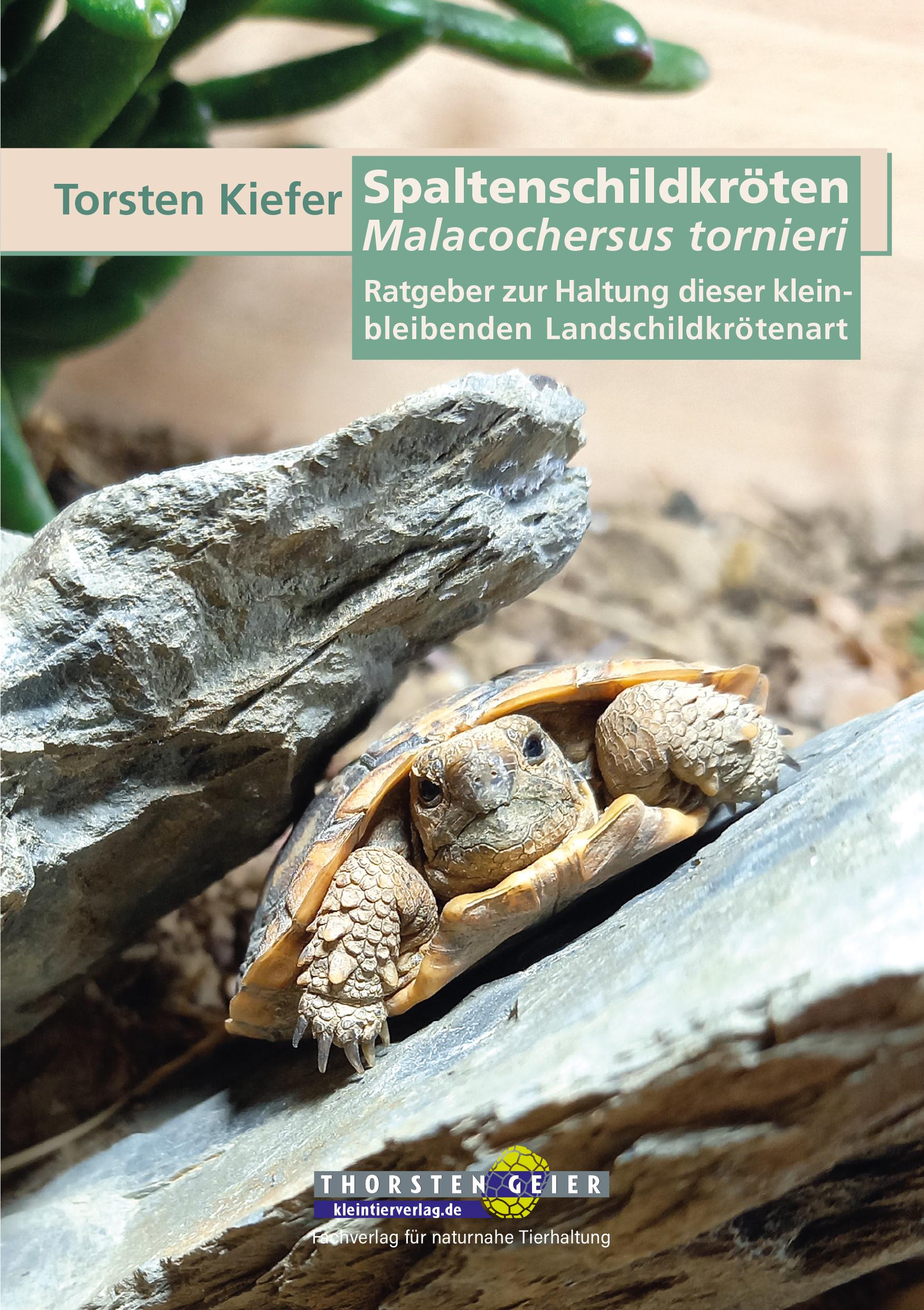 Vorderes Coverbild Spaltenschildkröten Malacochersus tornieri
