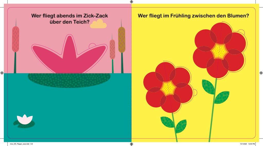 Beispielinhalt (Bild) FLIEGEN!