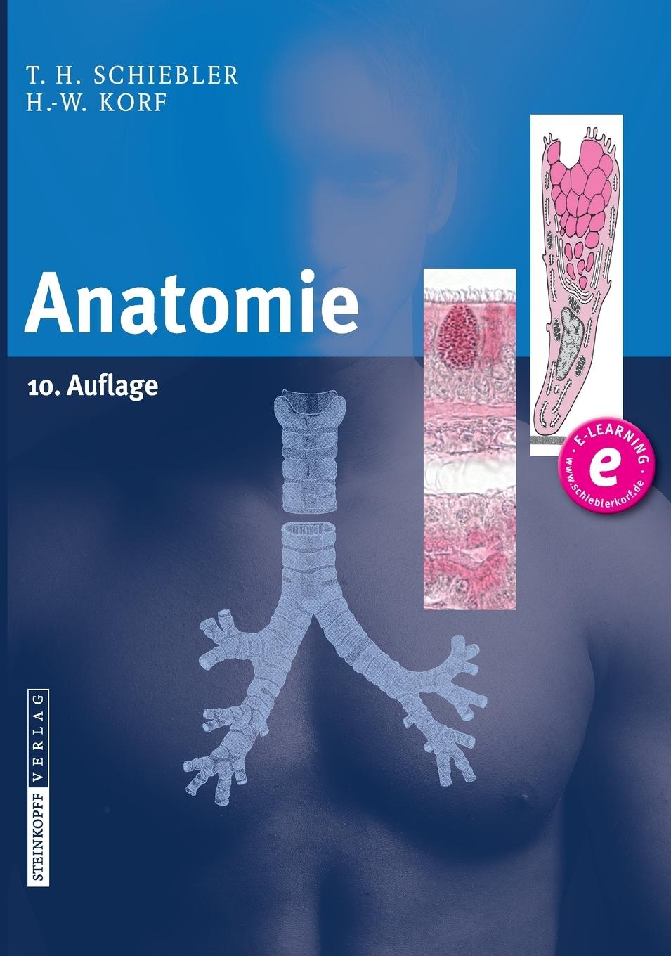 Vorderes Coverbild Anatomie