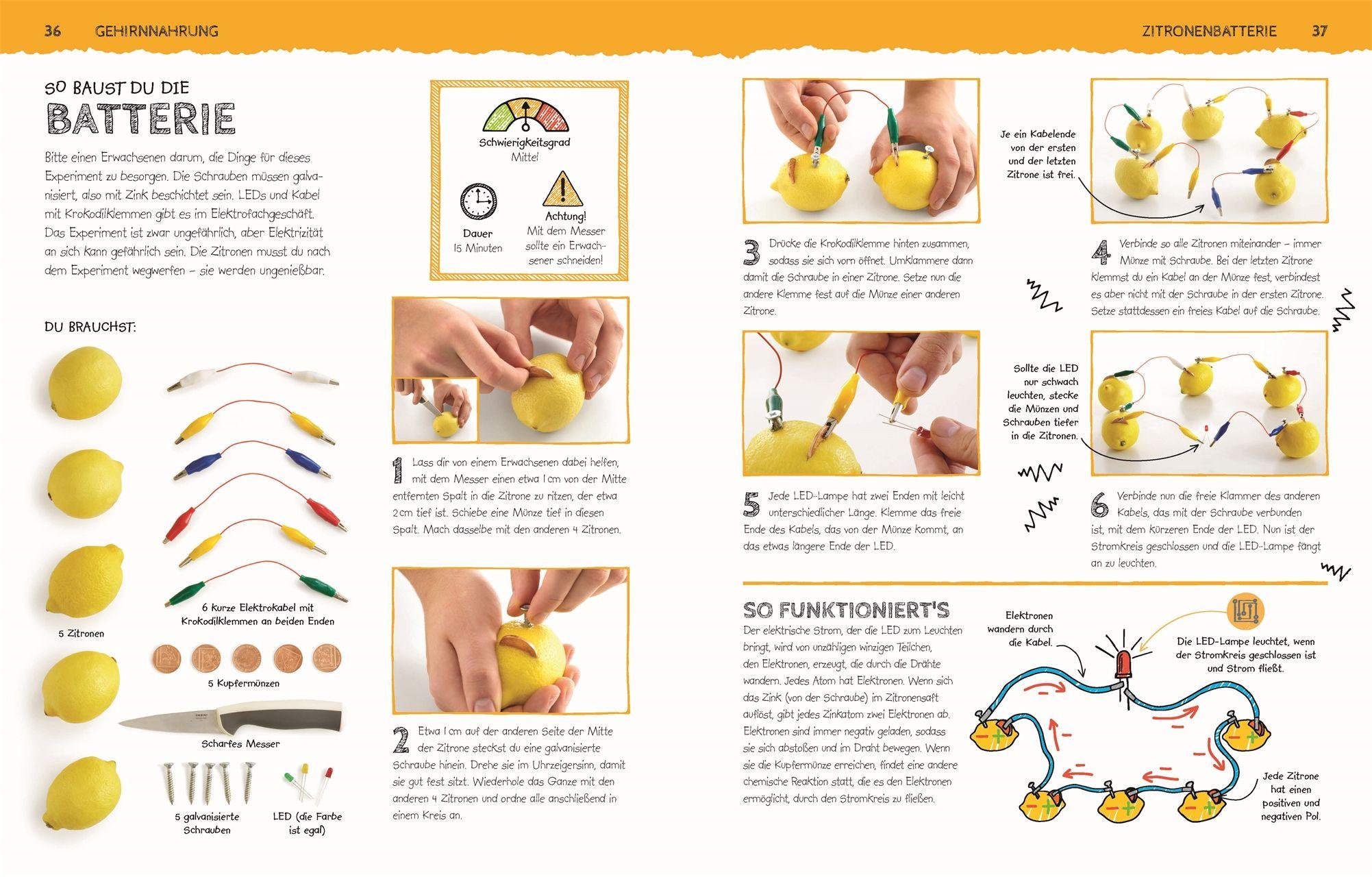 Beispielinhalt (Bild) Das Superlabor