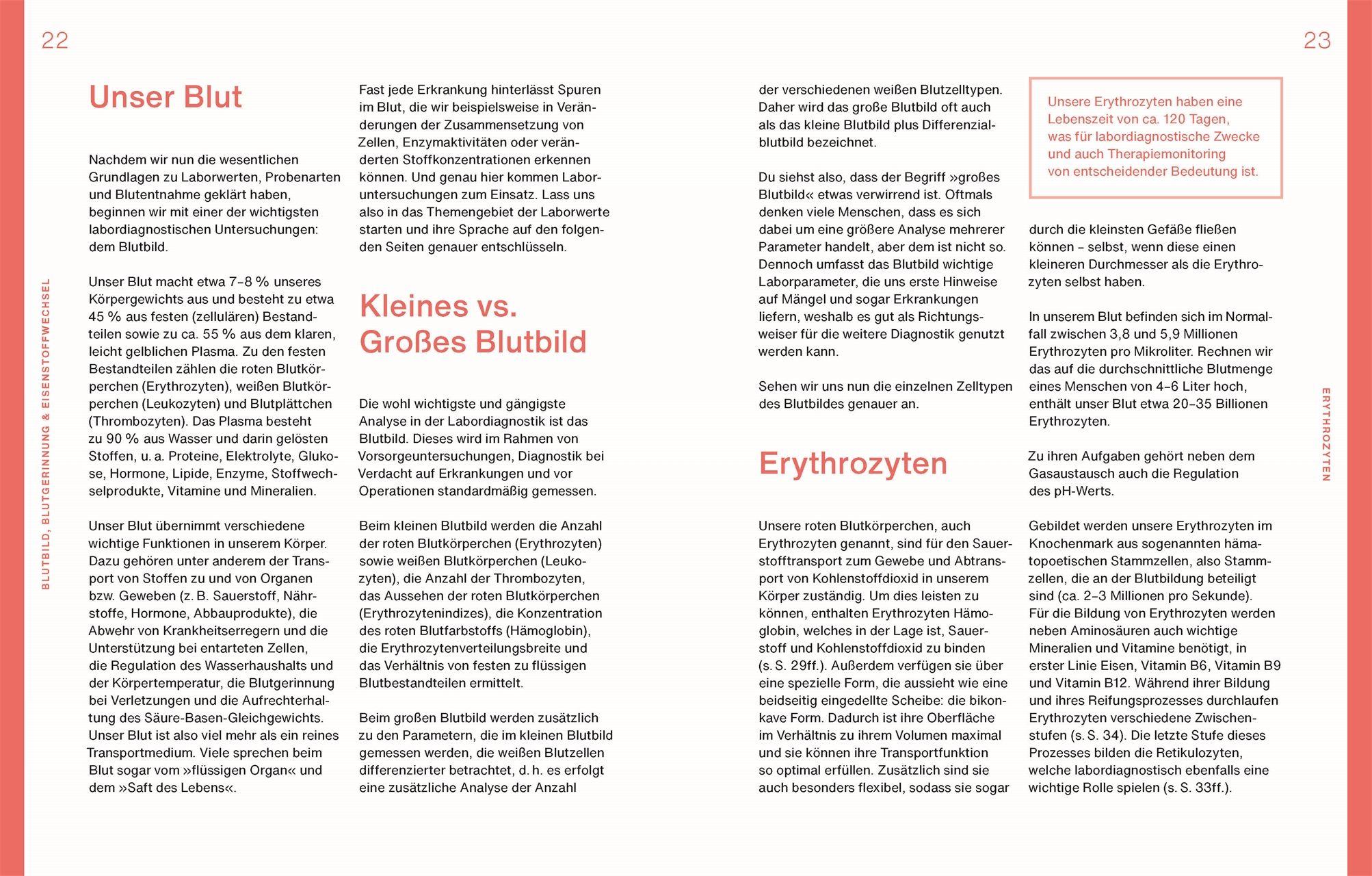 Beispielinhalt (Bild) Laborwerte einfach verstehen