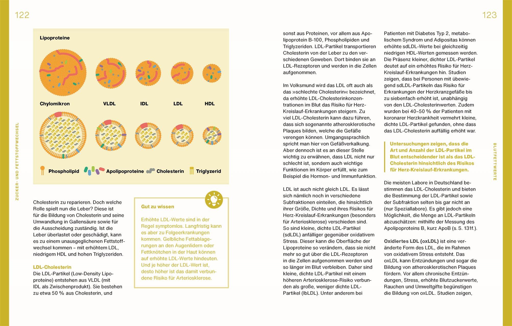 Beispielinhalt (Bild) Laborwerte einfach verstehen
