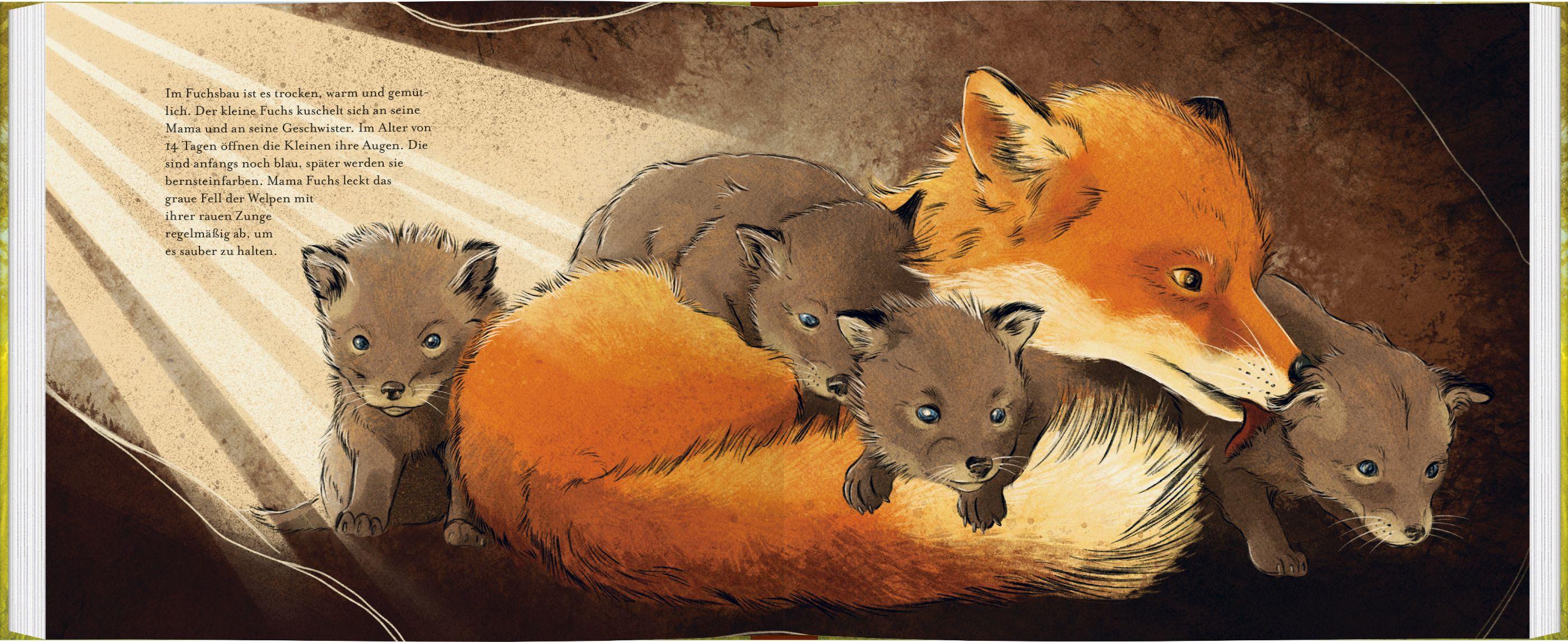 Beispielinhalt (Bild) Kleiner Fuchs, bald bist du groß!