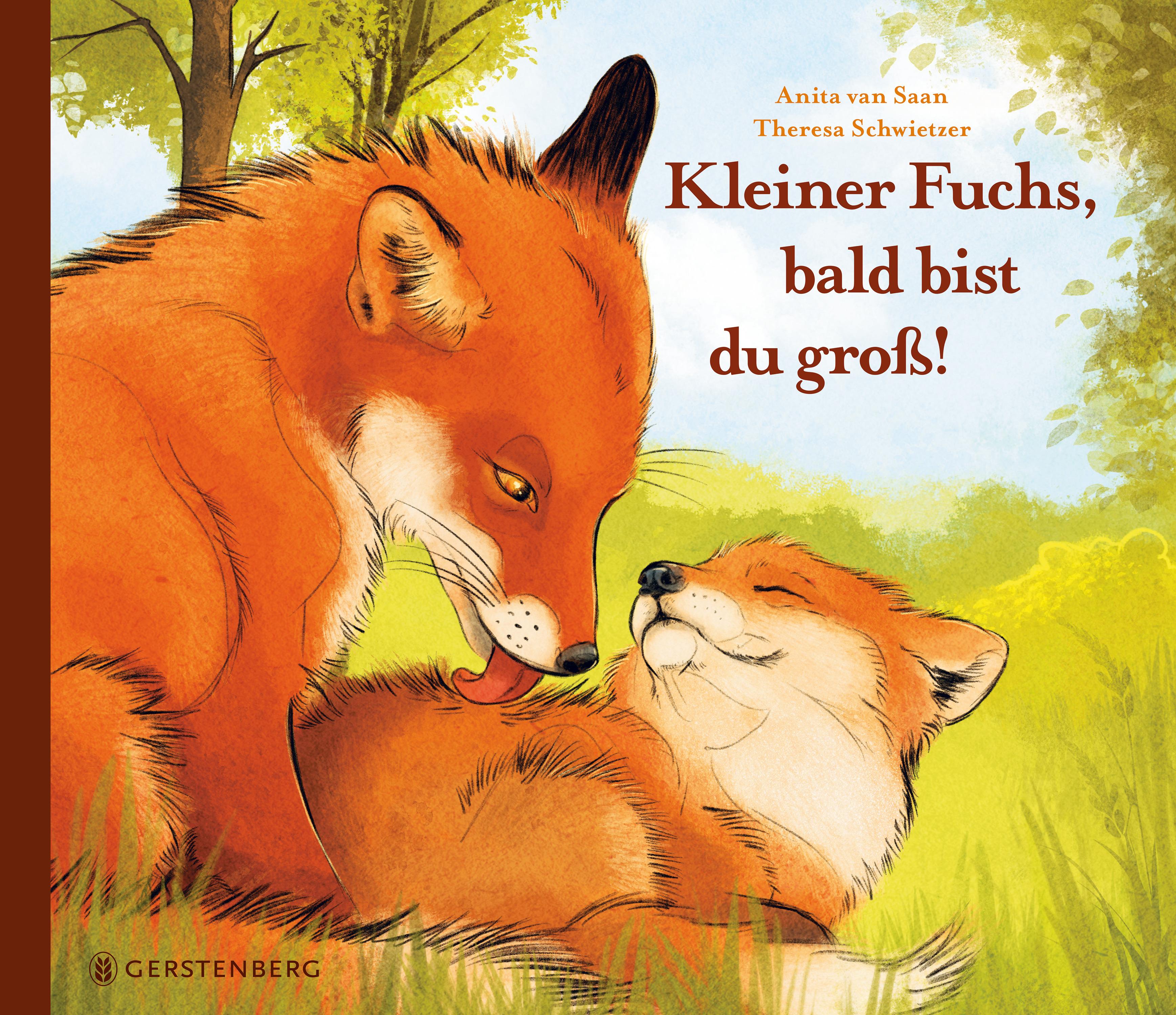 Vorderes Coverbild Kleiner Fuchs, bald bist du groß!