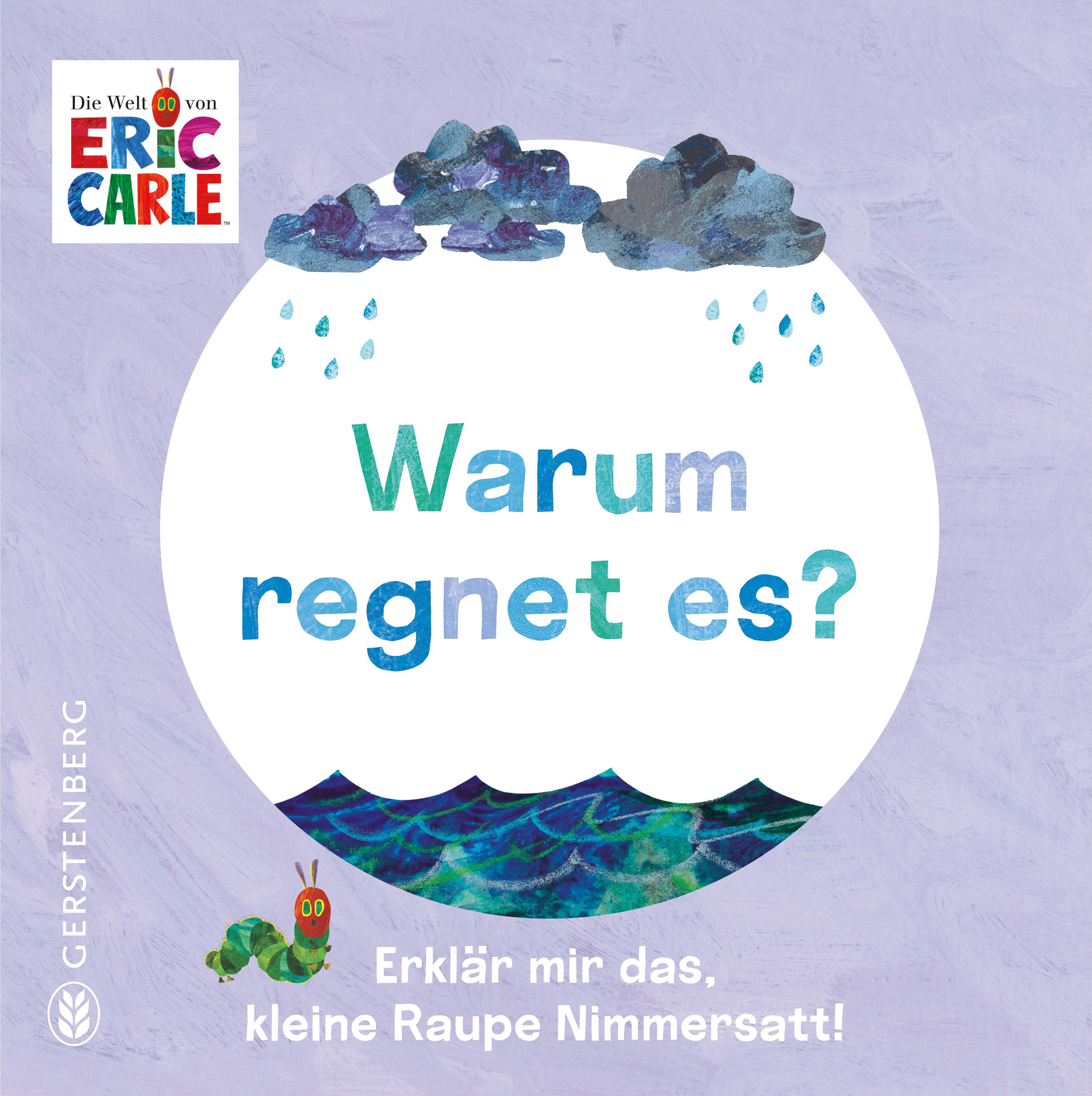 Vorderes Coverbild Warum regnet es?