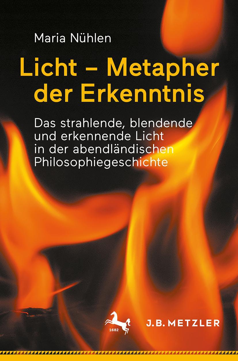 Vorderes Coverbild Licht - Metapher der Erkenntnis