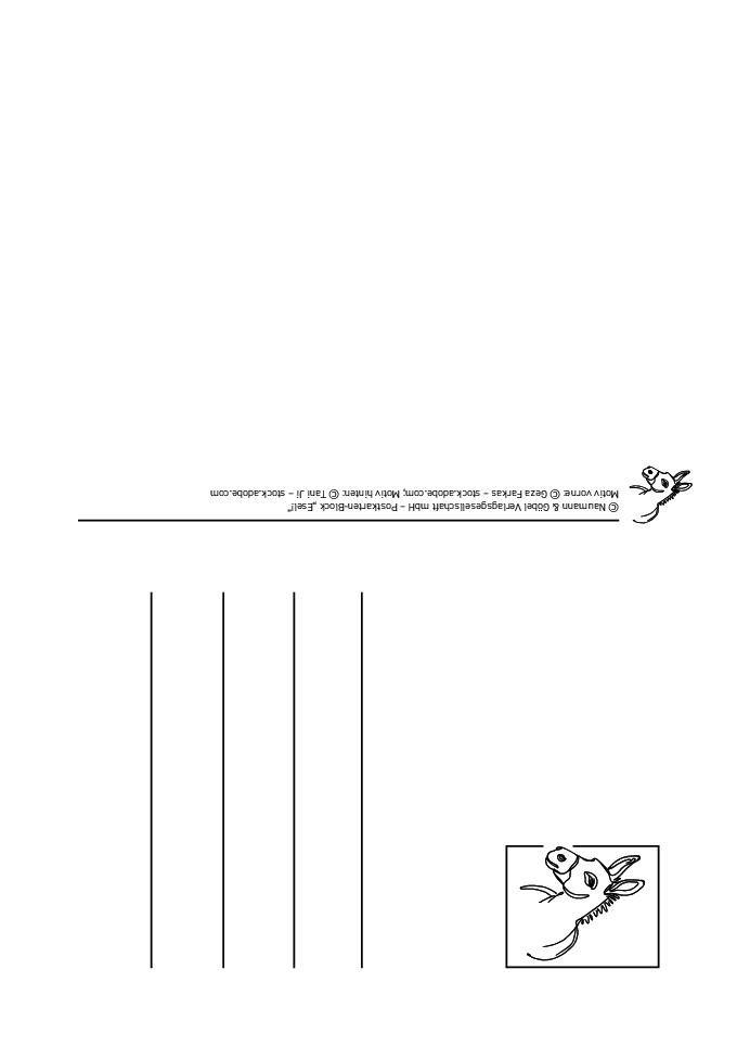 Beispielinhalt (Bild) Postkartenblock Esel