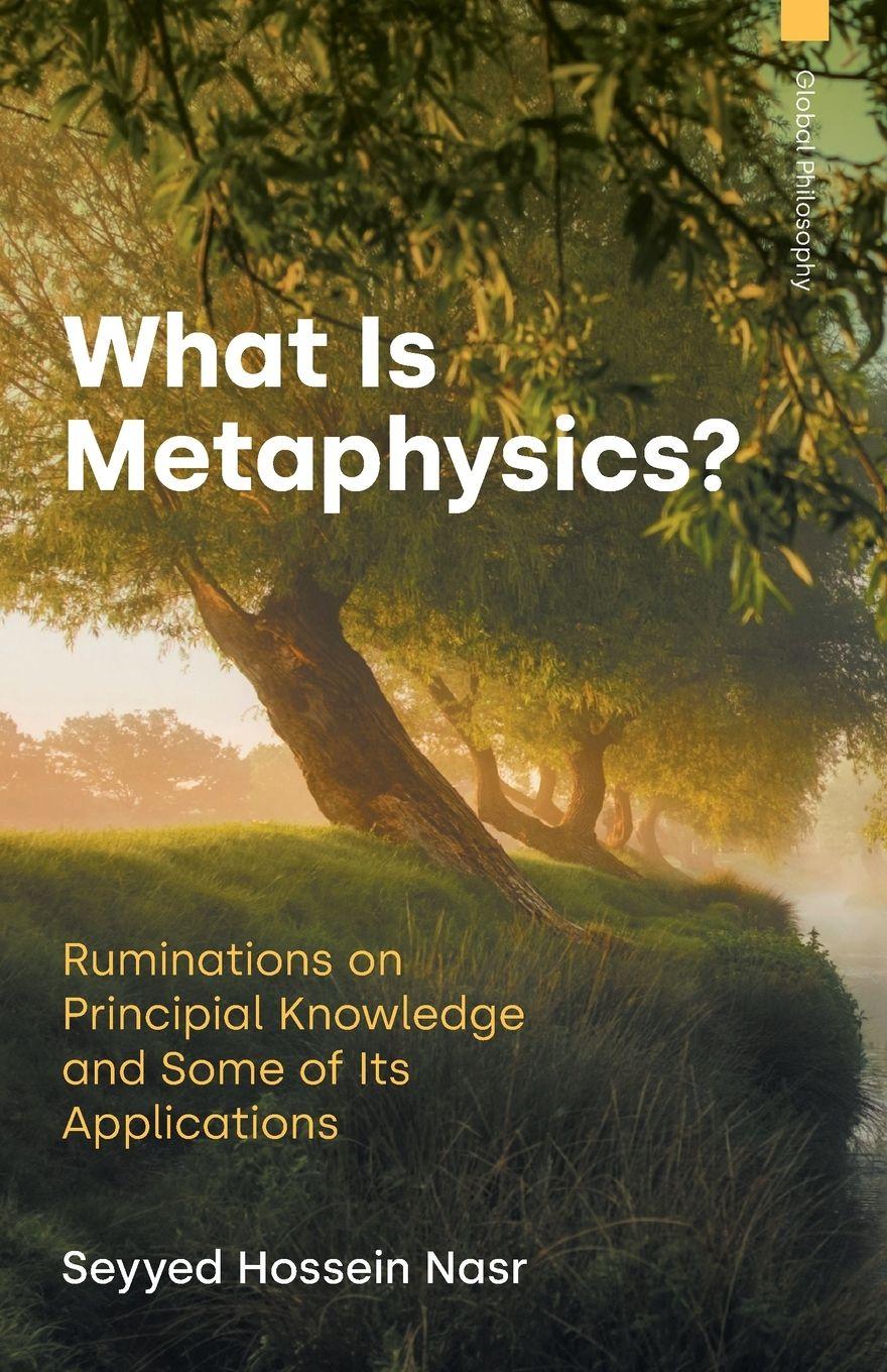 Vorderes Coverbild What is Metaphysics