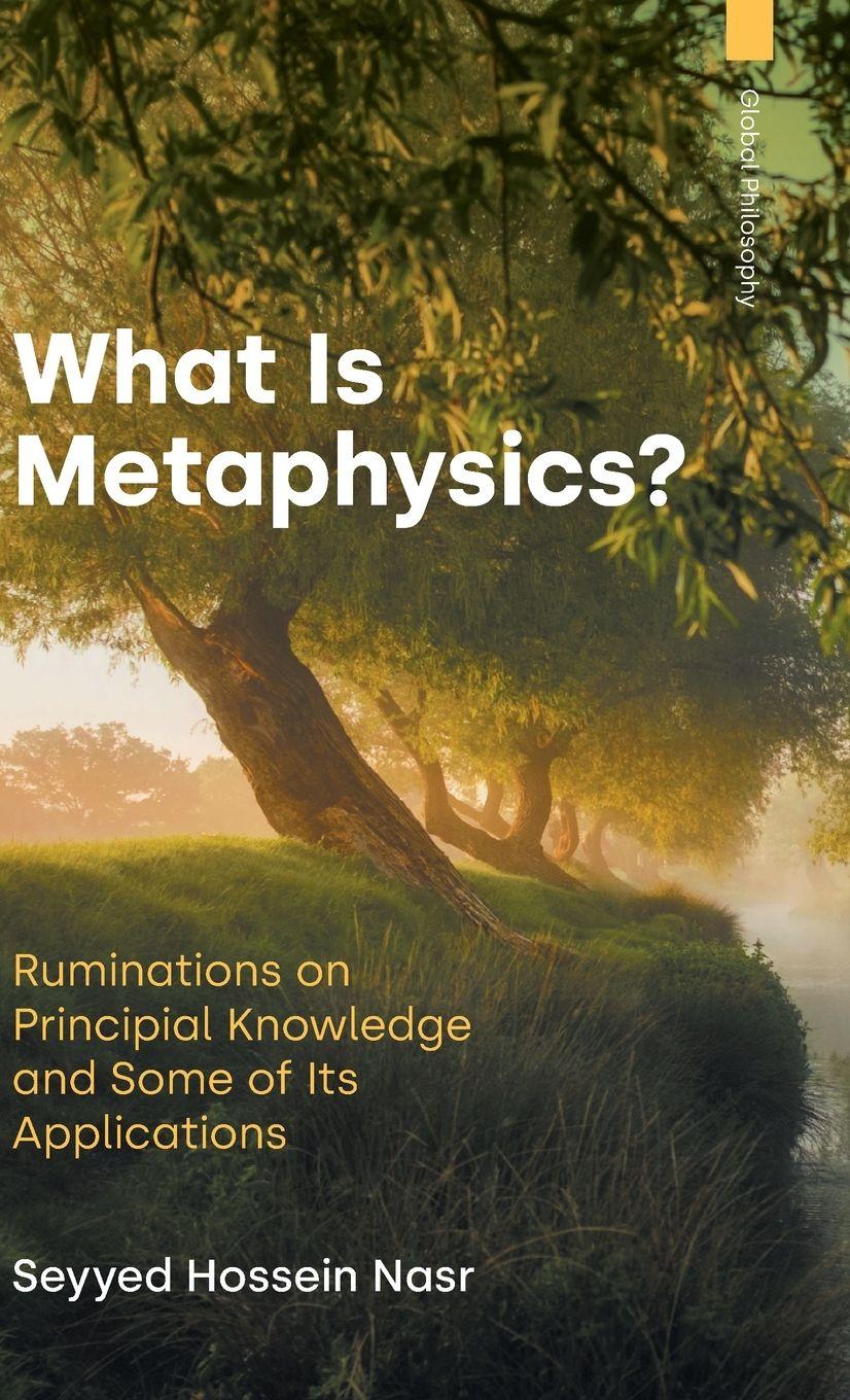 Vorderes Coverbild What is Metaphysics