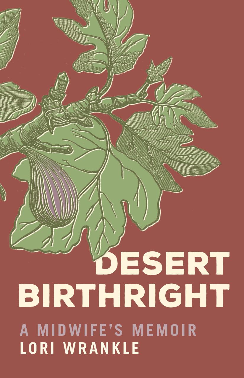 Vorderes Coverbild Desert Birthright
