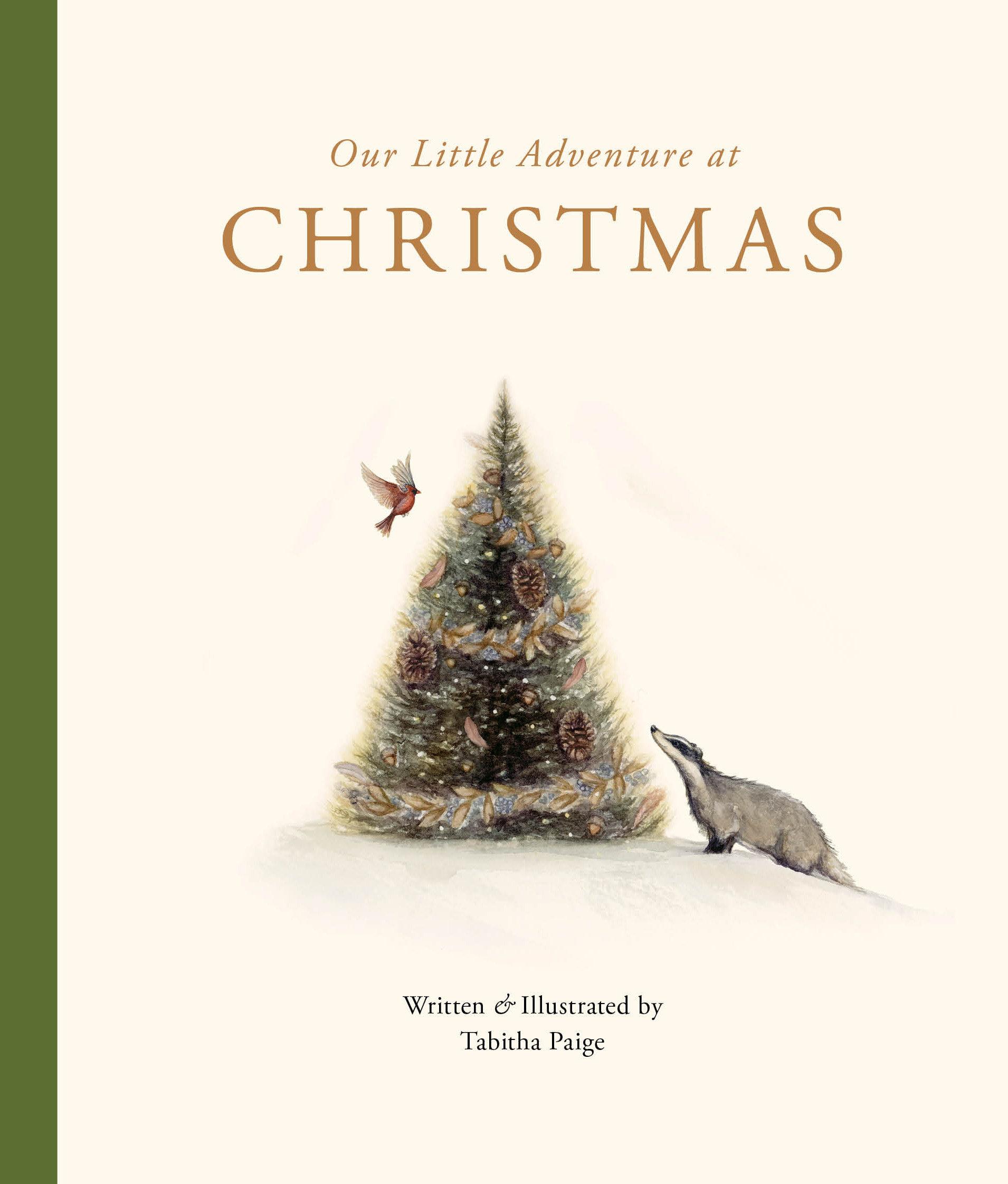 Vorderes Coverbild Our Little Adventure at Christmas