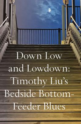 Vorderes Coverbild Down Low and Lowdown: Timothy Liu's Bedside Bottom-Feeder Blues